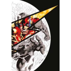 DC Pocket Collection: Flashpoint