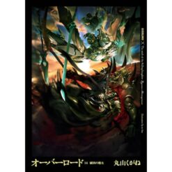 Overlord Romanzo - Vol.14