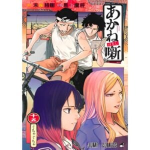 Akane-Banashi Vol.15