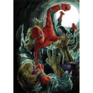 Amazing Spider - Man 11 Variant Amazing Vision di Lee Bermejo