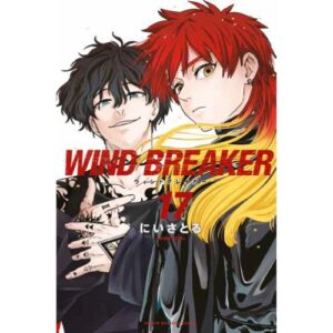 Wind Breaker Vol.17