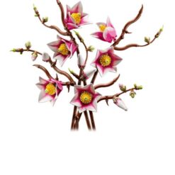 LEGO Botanicals - Rametti di magnolia