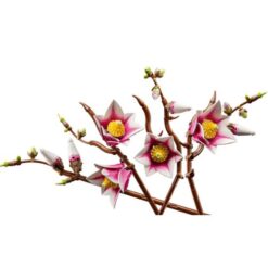 LEGO Botanicals - Rametti di magnolia