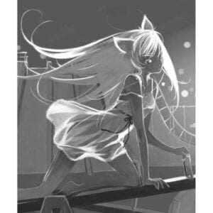 Bakemonogatari Parte II