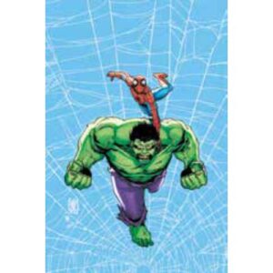 Web of Heroes: Spider-Man e Hulk