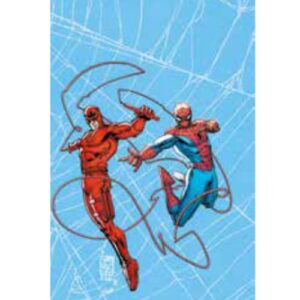 Web of Heroes: Spider-Man e Daredevil