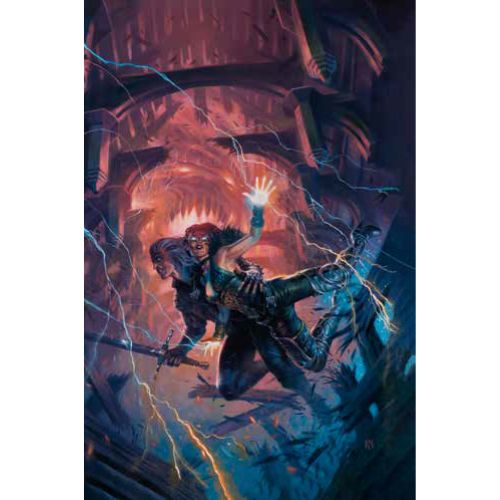 The Witcher: L'Ultimo Desiderio